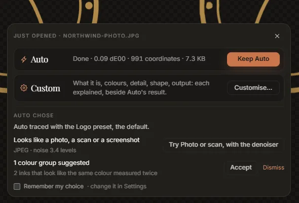 The choice card for a JPEG: Auto suggests the Photo or scan preset, and a colour group
